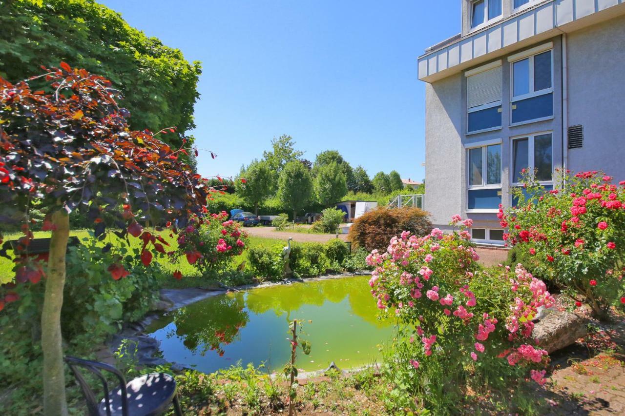 Kraichgau-Perle Hotel Rauenberg  Exterior photo